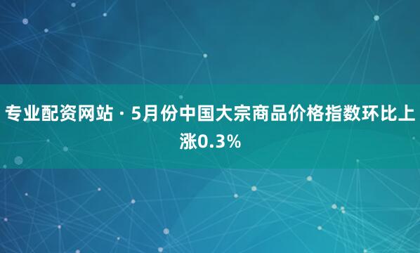 专业配资网站 · 5月份中国大宗商品价格指数环比上涨0.3%